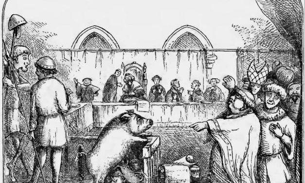 Les animaux devant la justice : le procès de la truie de Falaise – 1386