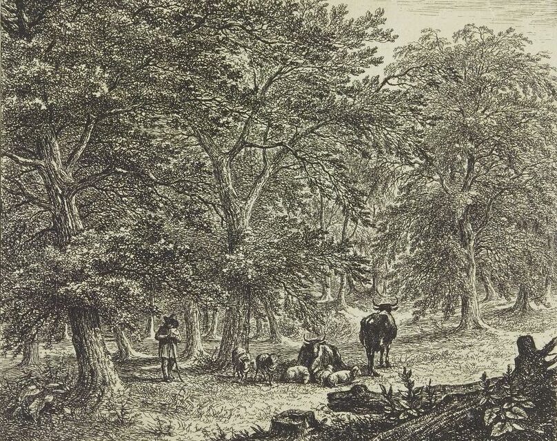 La prévention des incendies de forêt – 1827