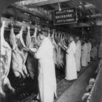 Les abattoirs de Chicago, pionniers du travail à la chaîne -1893