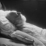 Mort de Victor Hugo : petite revue de presse – Mai 1885