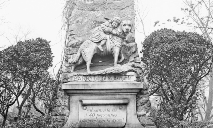 cimetière pour chiens