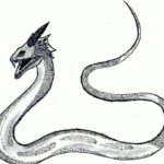 Regards sur le basilic dans le monde gréco-romain