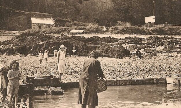 L&rsquo;huître française fait de la résistance – 1940-41