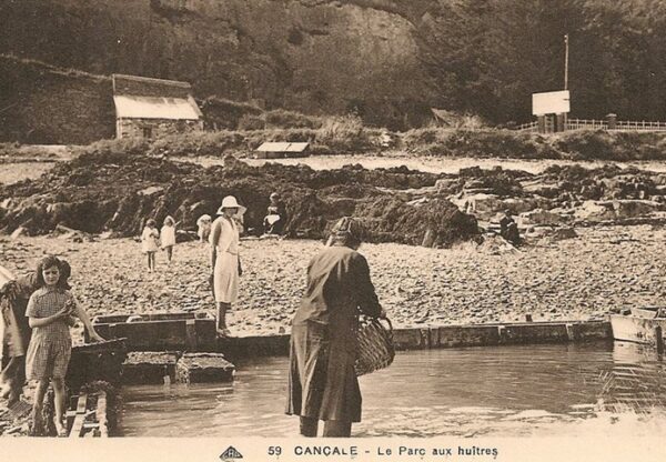 L&rsquo;huître française fait de la résistance – 1940-41