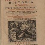 Le caractère des femelles et des mâles dans l&rsquo;Histoire des animaux d&rsquo;Aristote – IVe siècle avant notre ère